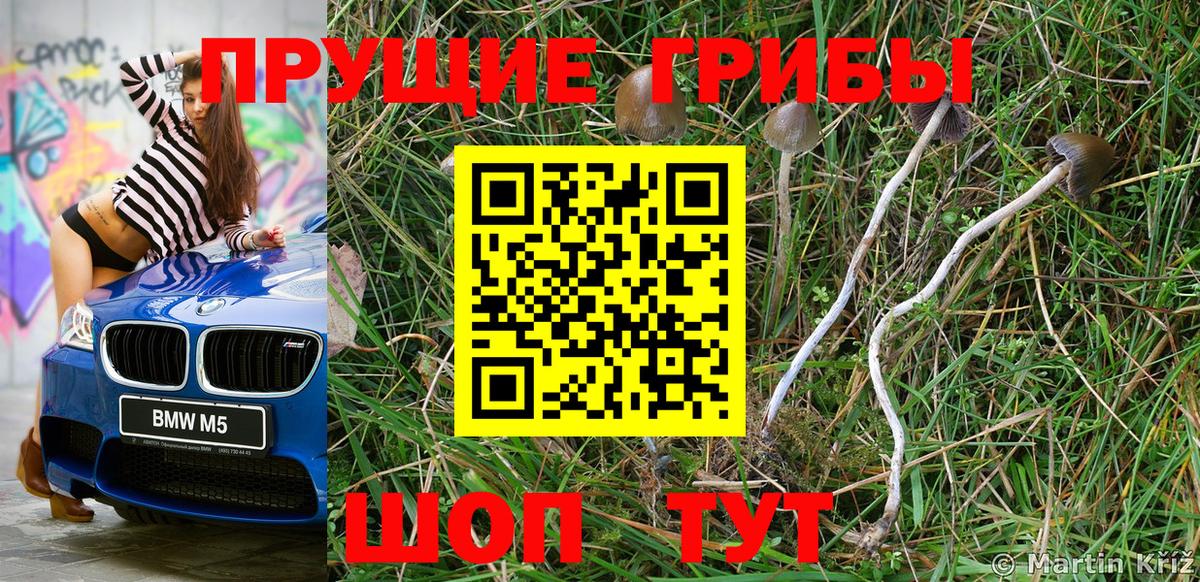 Псилоцибиновые грибы MAGIC MUSHROOMS  Вход с VPN  Галлюциногенные грибы Psilocybe  Темрюк 
